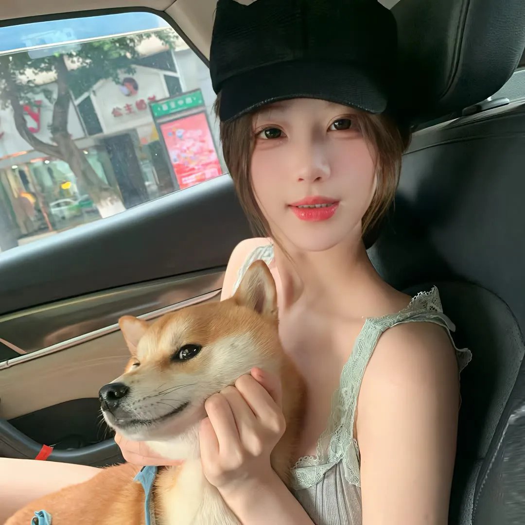 小野猫的公路历险记