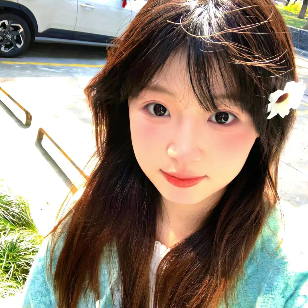 孤鸟罗宾