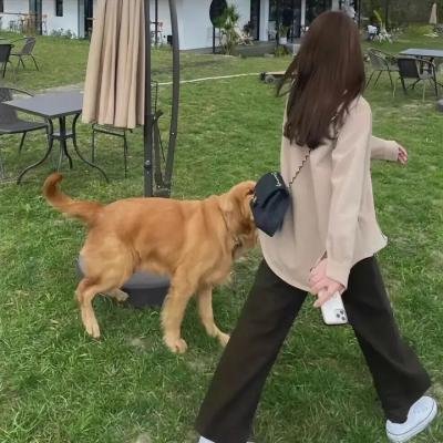 爱在此时